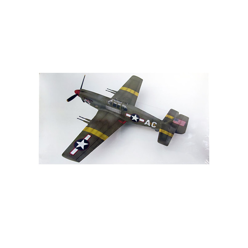 F-6A plastic plane model TAC-RECCE Fighter 1/48 | Scientific-MHD