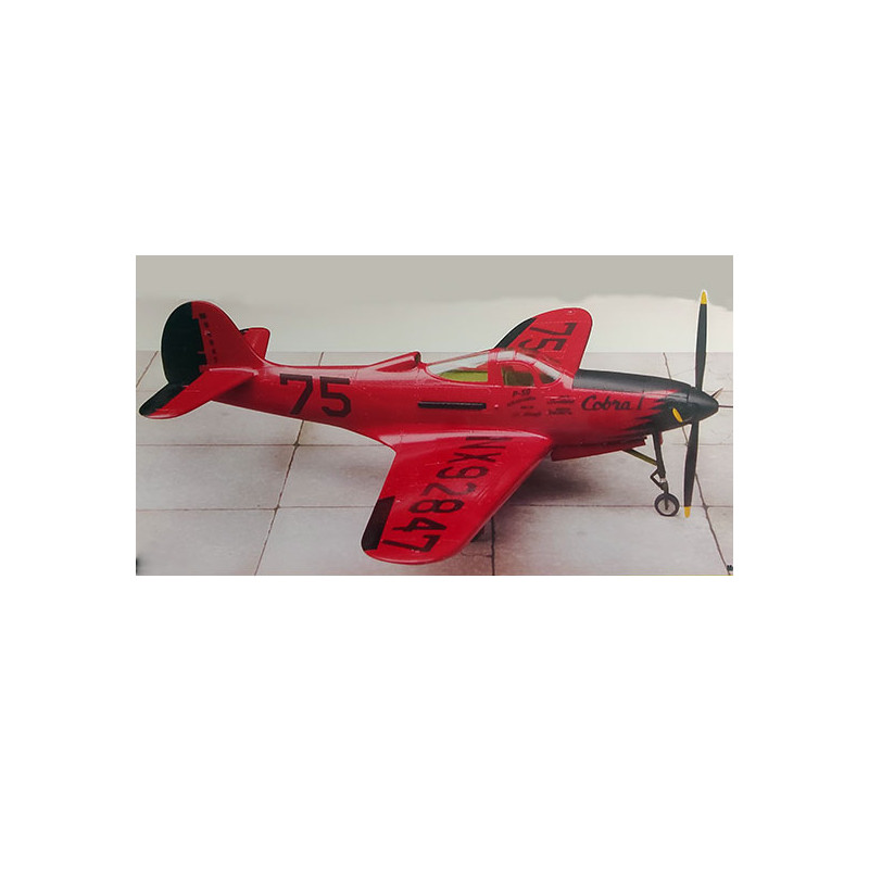 P-39Q plastic plane model Airacobra Skylanes Unlimited Race Team 1/48 | Scientific-MHD