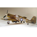 F-6B Mustang 1/48 plastic plane model | Scientific-MHD F-6B Mustang 1/48 plastic plane model | Scientific-MHD