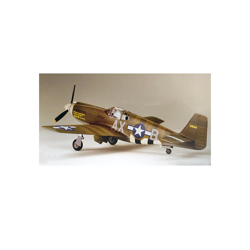 F-6B Mustang 1/48 plastic plane model | Scientific-MHD