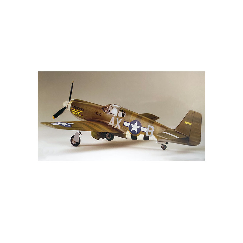 F-6B Mustang 1/48 plastic plane model | Scientific-MHD