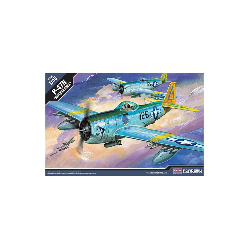 P-47N plastic plane model. | Scientific-MHD