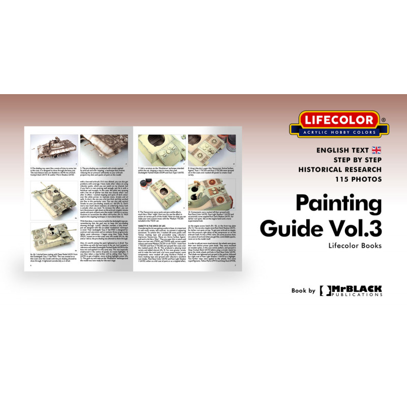 Lifecolor model paint Painting 3