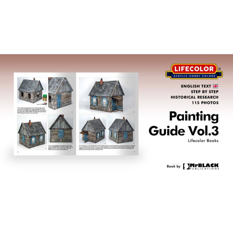 Lifecolor model paint Painting 3