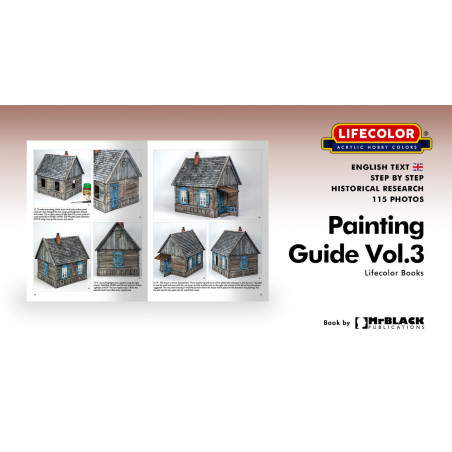 Lifecolor model paint Painting 3