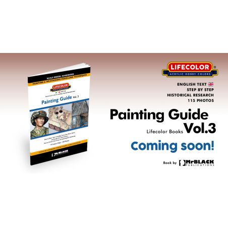 Lifecolor model paint Painting 3 Lifecolor model paint Painting 3