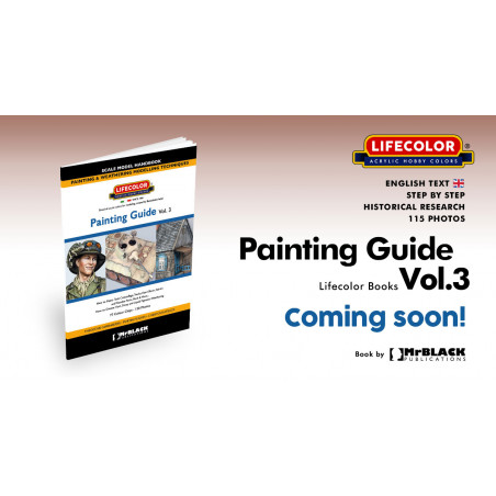 Lifecolor model paint Painting 3