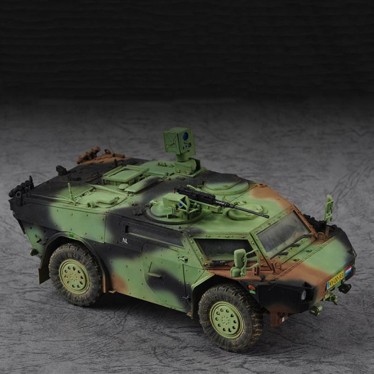 Model Plastic model of...