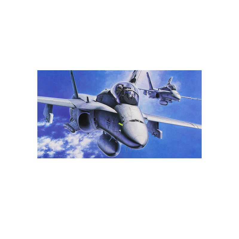 F-18D Hornet plastic plane model | Scientific-MHD
