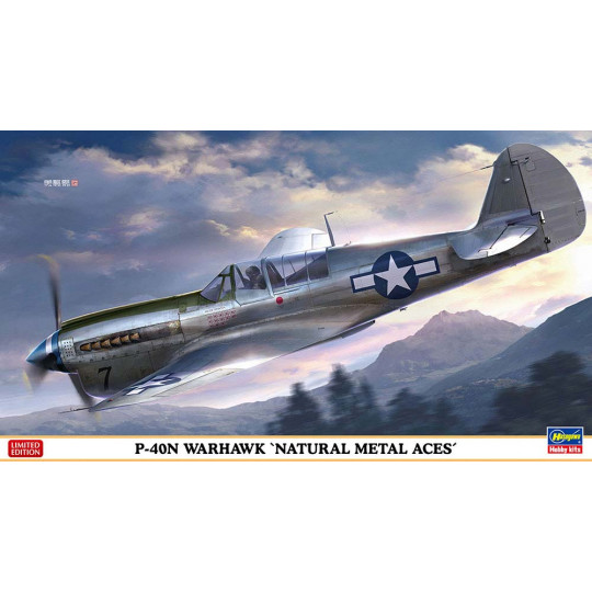 P-40N Warhawk Plastic Model Aircraft 'Natural Metal Aces' 1:48 P-40N Warhawk Plastic Model...