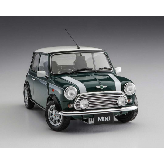Plastic Model Car Mini...