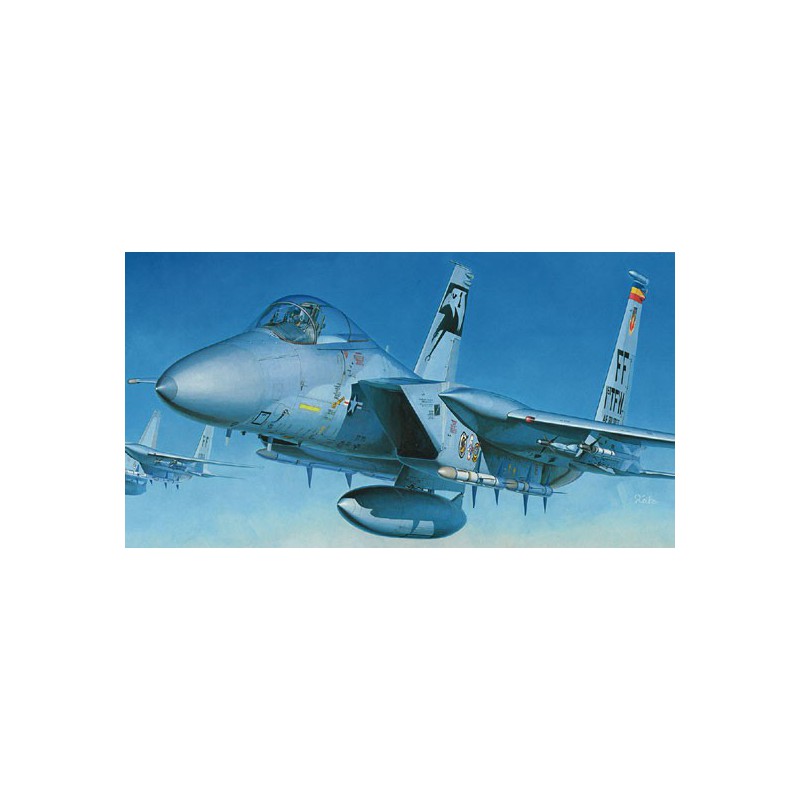 F-15C plastic model Eagle 1/48 | Scientific-MHD