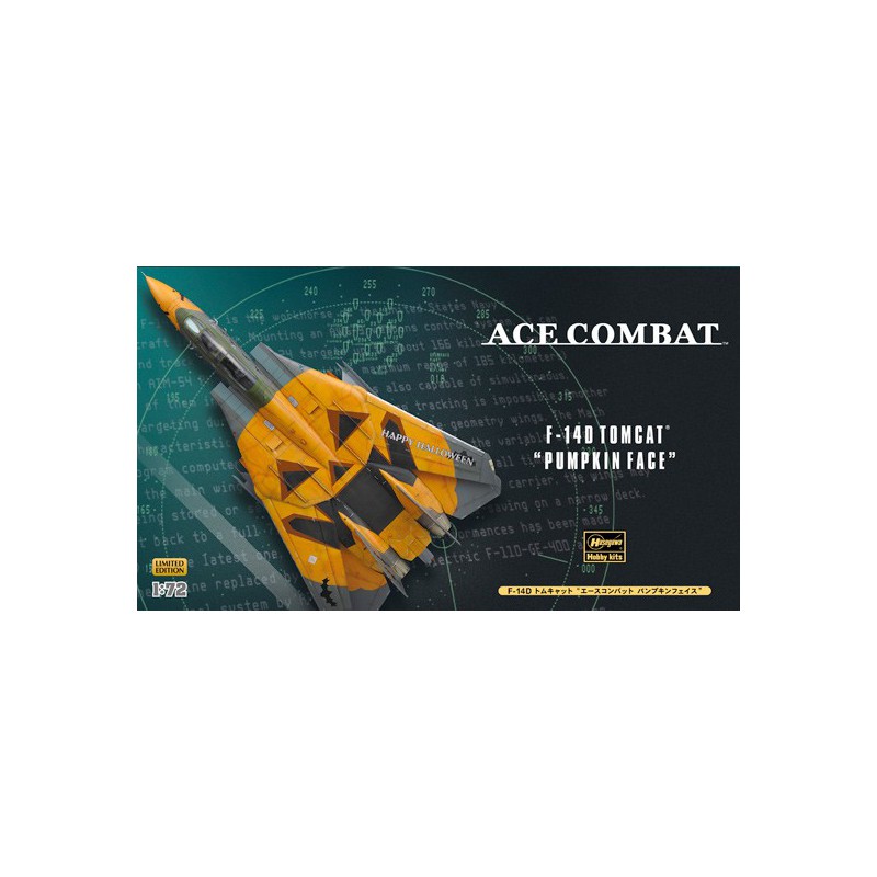 F-14D plastic plane model Tomcat ace 1/72 | Scientific-MHD