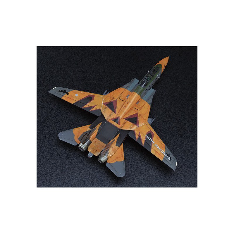 F-14D plastic plane model Tomcat ace 1/72 | Scientific-MHD