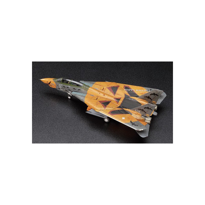 F-14D plastic plane model Tomcat ace 1/72 | Scientific-MHD