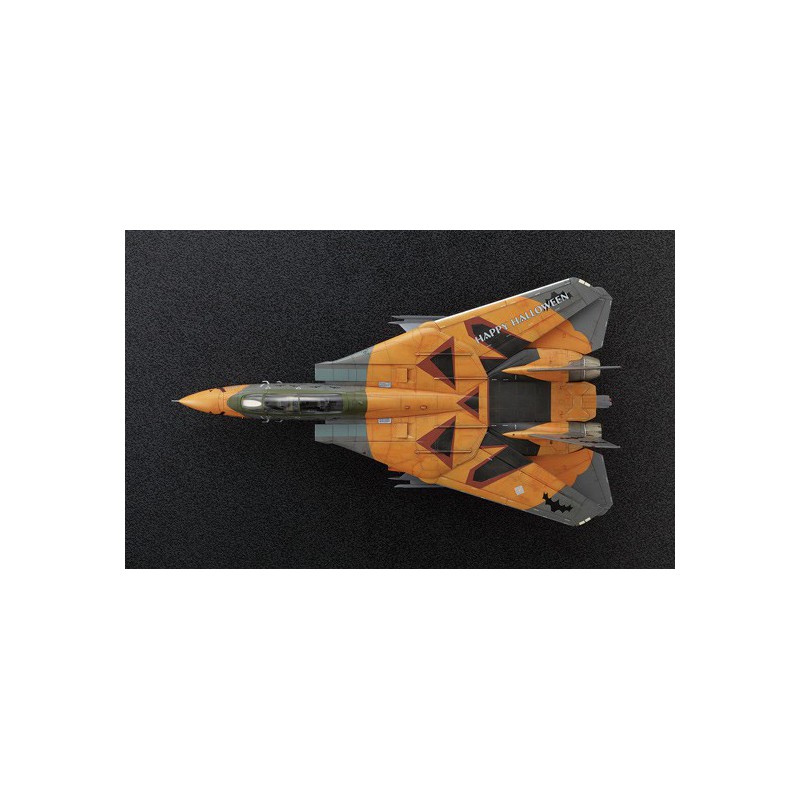 F-14D plastic plane model Tomcat ace 1/72 | Scientific-MHD
