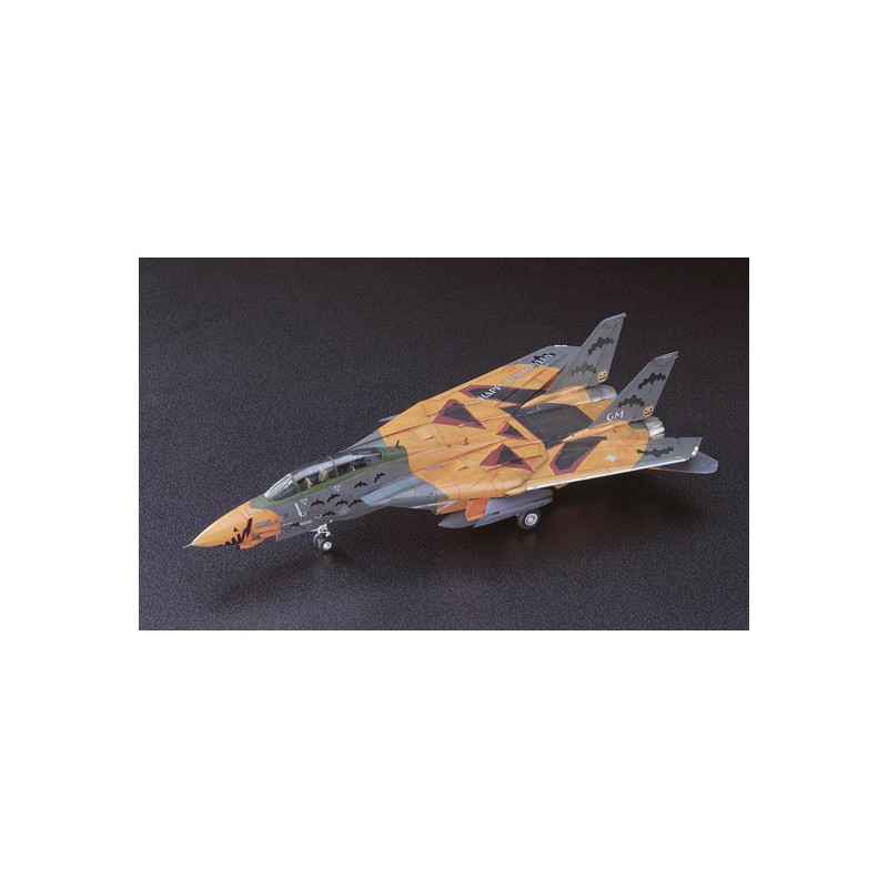 F-14D plastic plane model Tomcat ace 1/72 | Scientific-MHD