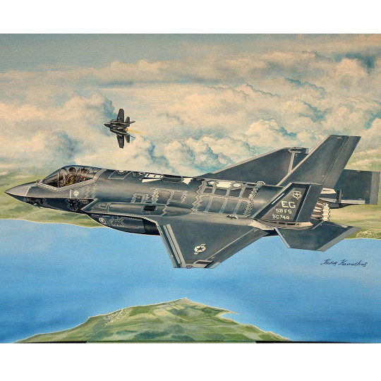 Model plastic airplane...