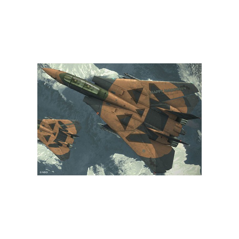 F-14D plastic plane model Tomcat ace 1/72 | Scientific-MHD