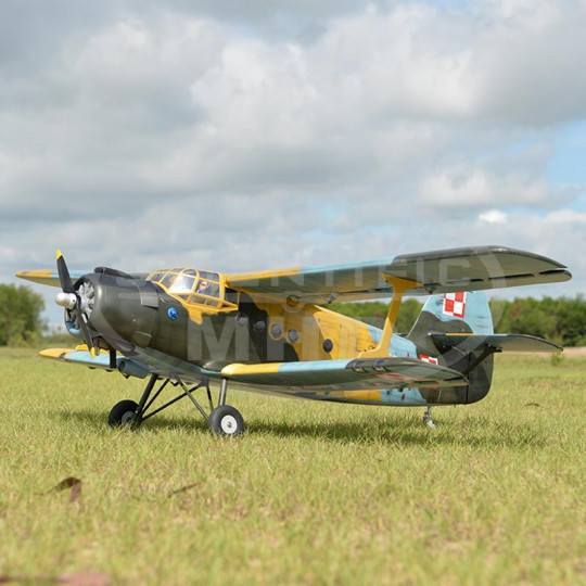 Radio-controlled Antonov...