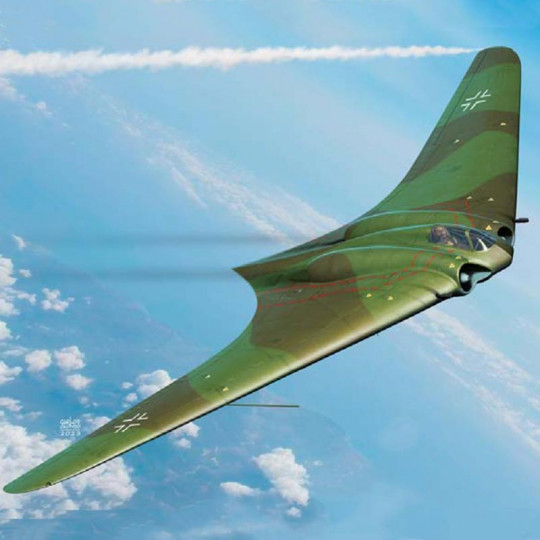 Plastic model aircraft Horten Ho 229 "Wunderwaffe" 1:72 Plastic model aircraft...