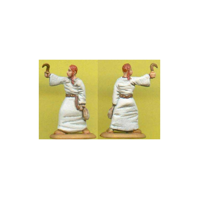 Celtic command figurine1/72 | Scientific-MHD