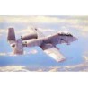 Plastic plane model N/AWA-10A Thunderbolt II 1/48 | Scientific-MHD