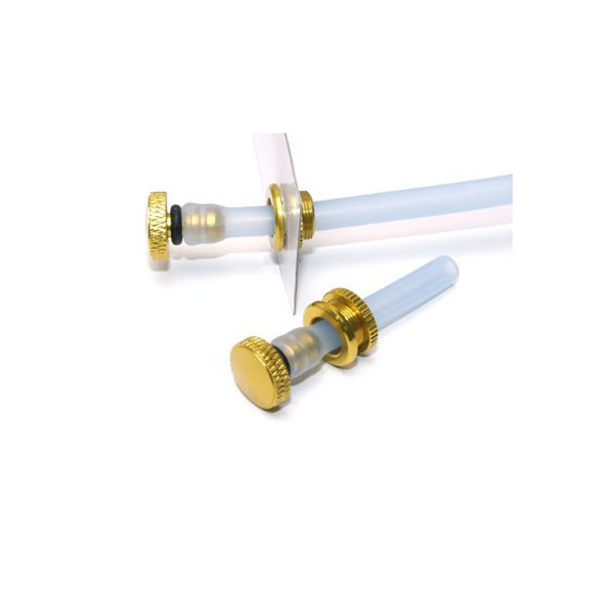 Embedded accessory Gold filling caps | Scientific-MHD