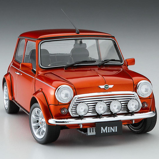 Model plastic model of Mini...