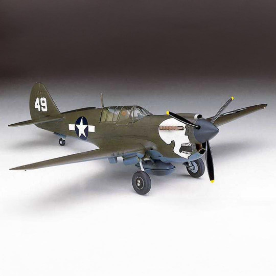 P-40N plastic plane model...