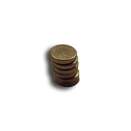 Embedded accessory Round magnets Diam. 5mm (6pcs) | Scientific-MHD Embedded accessory Round magnets Diam. 5mm (6pcs) | Scientific-MHD