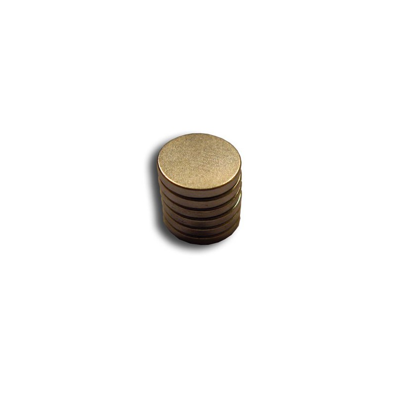 Embedded accessory Round magnets Diam. 10mm (6pcs) | Scientific-MHD