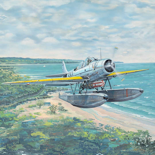 Plastic model aircraft...