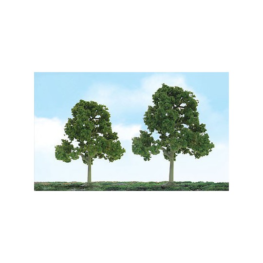 Tree tree with deciduous leaves 75 to 87mm - Hole | Scientific-MHD