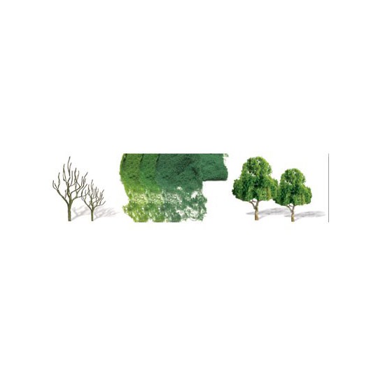 Tree tree with deciduous leaves 62 to 100mm - Hole | Scientific-MHD