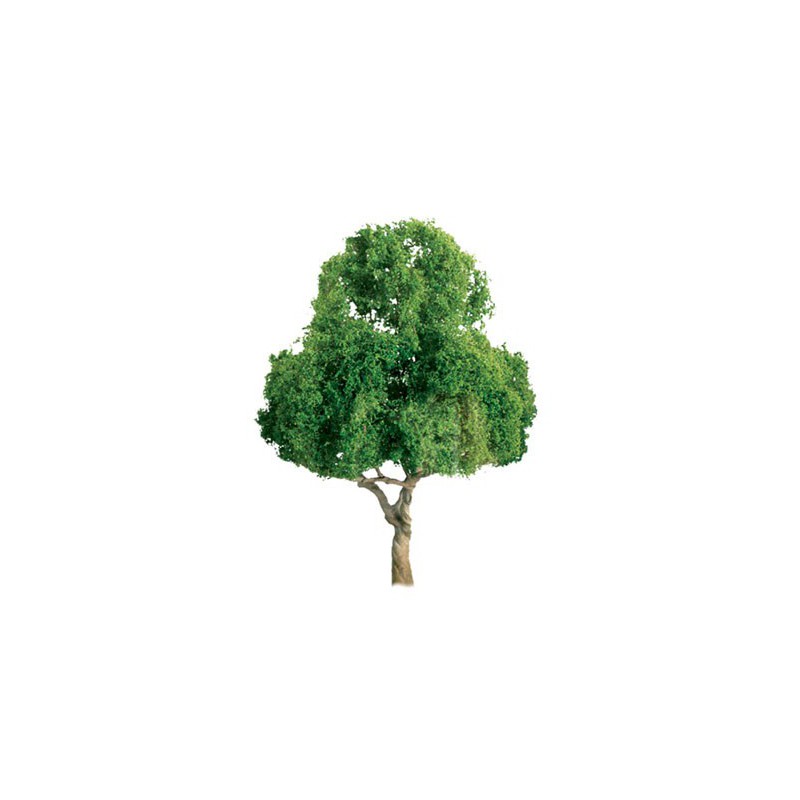 Tree with deciduous leaf trees 50mm - scale n | Scientific-MHD