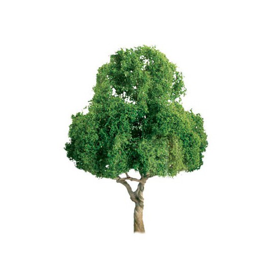 Tree with deciduous leaf trees 50mm - scale n | Scientific-MHD