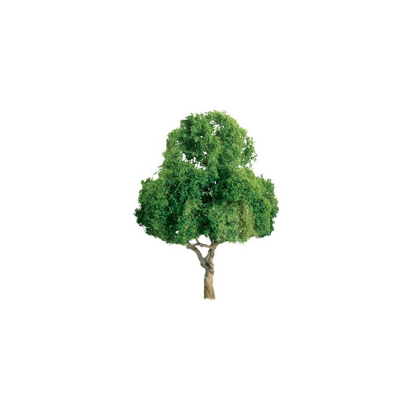 Tree tree with deciduous leaves 75mm - Hole lade | Scientific-MHD