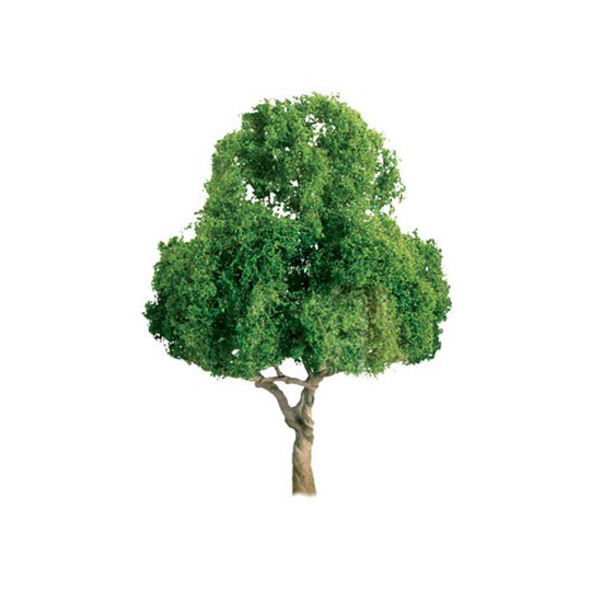 Tree tree with deciduous leaves 75mm - Hole lade Tree tree with deciduous leaves 75mm - Hole lade | Scientific-MHD
