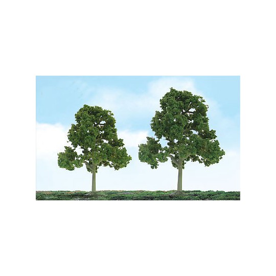 Sycomore assortment tree and deciduous leaves - n & ho | Scientific-MHD