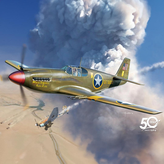 Plastic model aircraft...