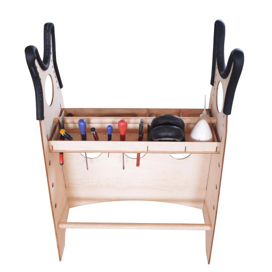 Radio -controlled plane...