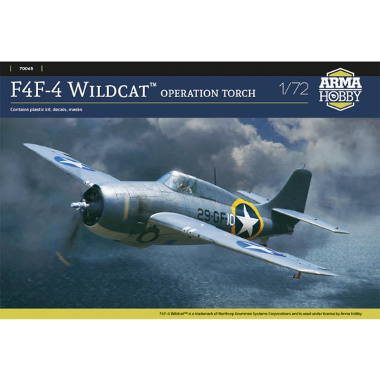 Model of a plastic airplane...
