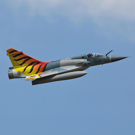 Radio-controlled electric...