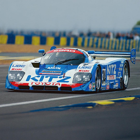 Model Plastic model of SARD...