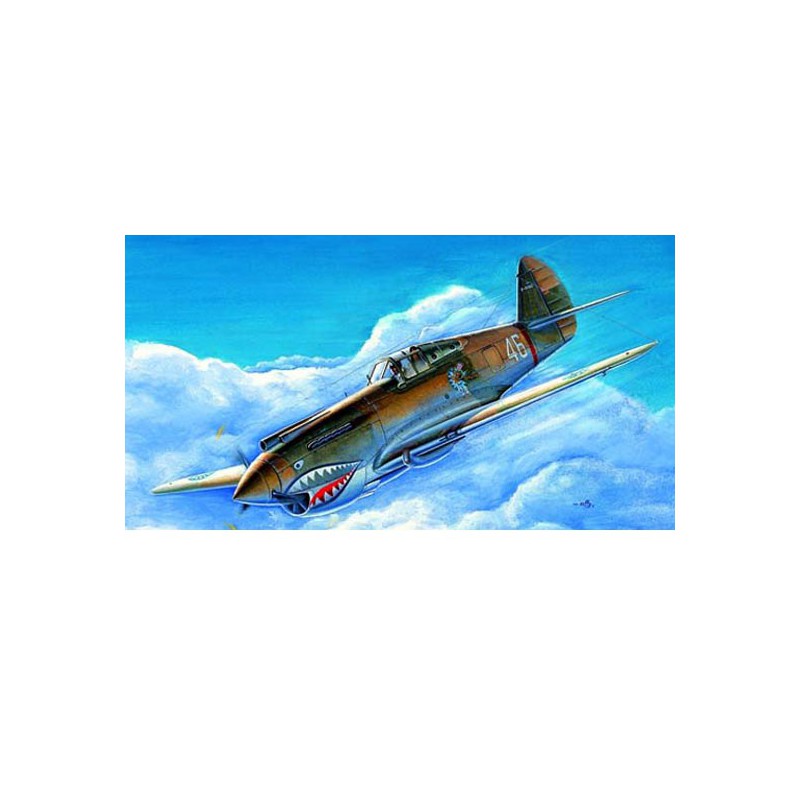 P-40B/C "Warhawk" plastic plane model | Scientific-MHD