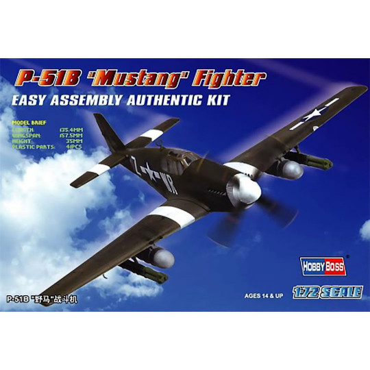 P-51 B plastic plane model 1/72 P-51 B plastic plane model...