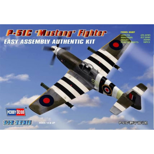 Model Plastic P-51 C...