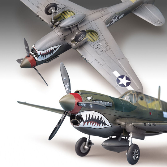 P-40M/n 1/72 plastic plane...