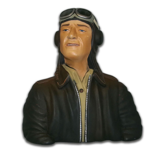 Onboard accessory DUKE Pilot